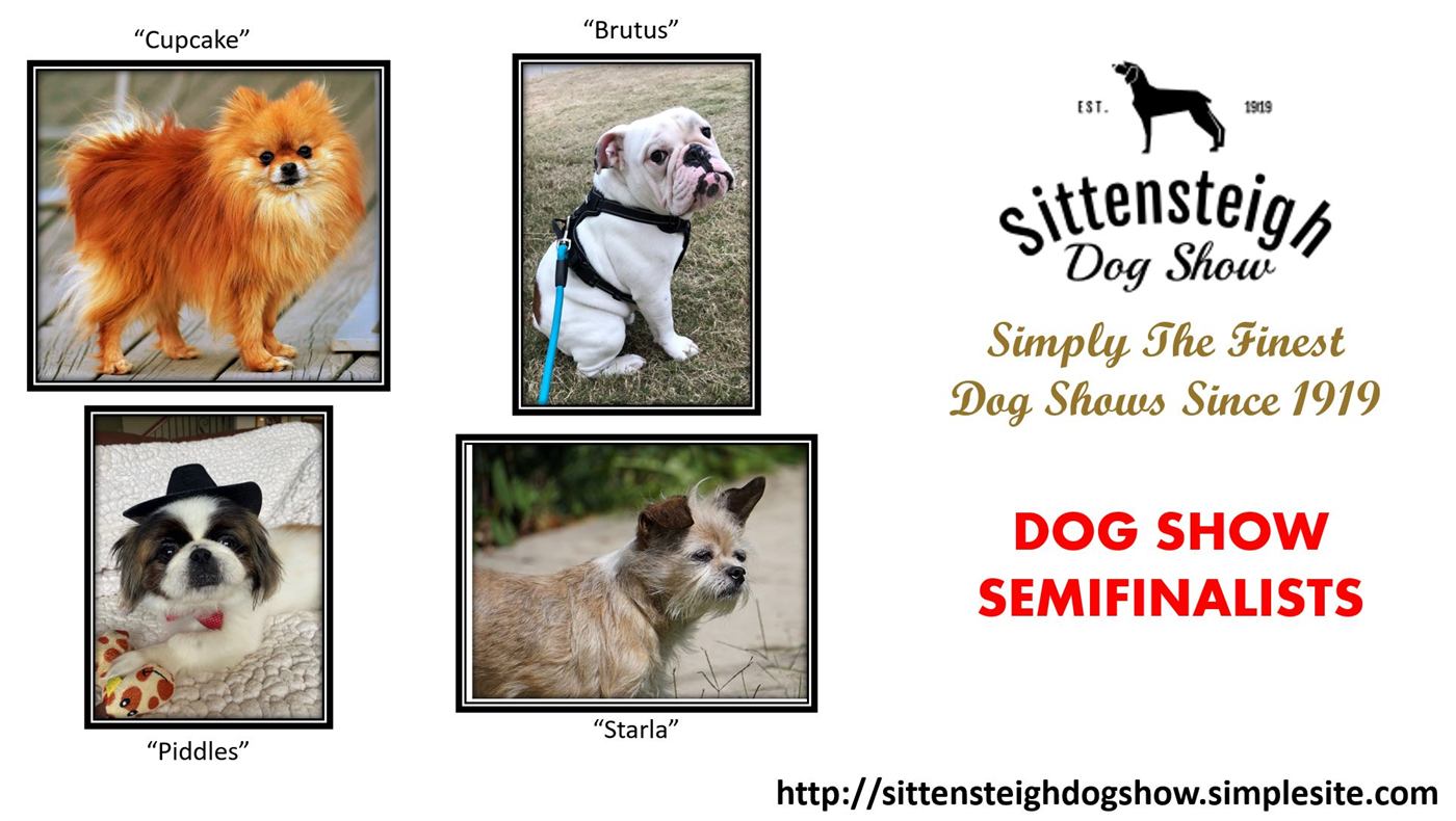 Official poster of semifinalists Cupcake, Brutus, Piddles, and Starla beside the Sittensteigh Dog Show crest